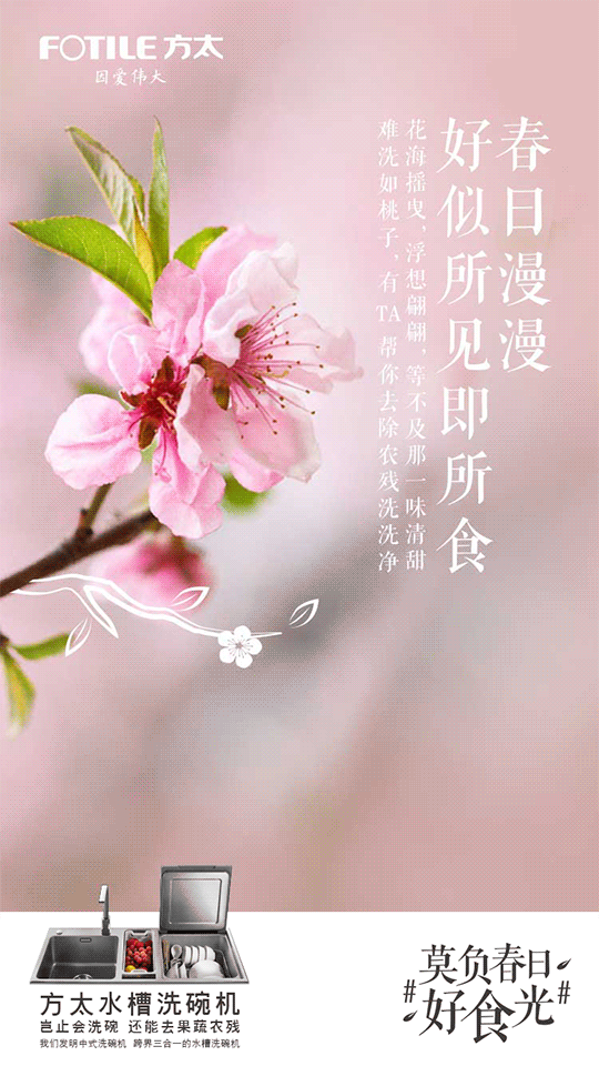 春日好时光(图2)