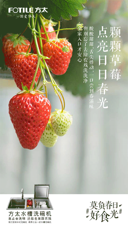春日好时光(图1)