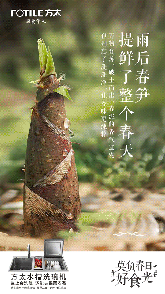 春日好时光(图4)