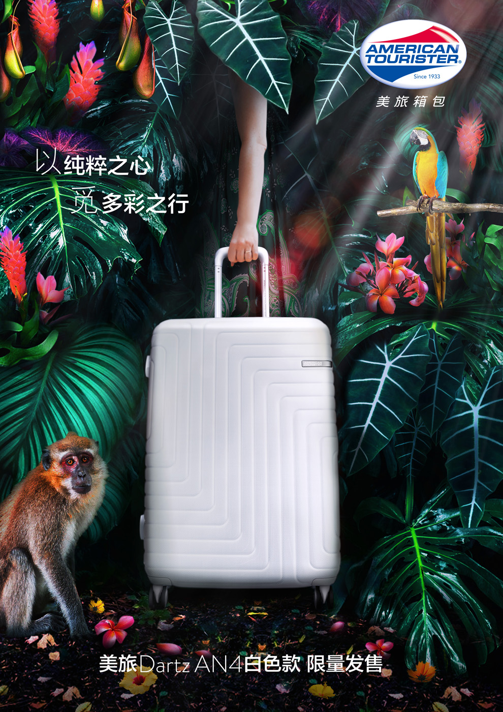 旅行箱海报(图1)